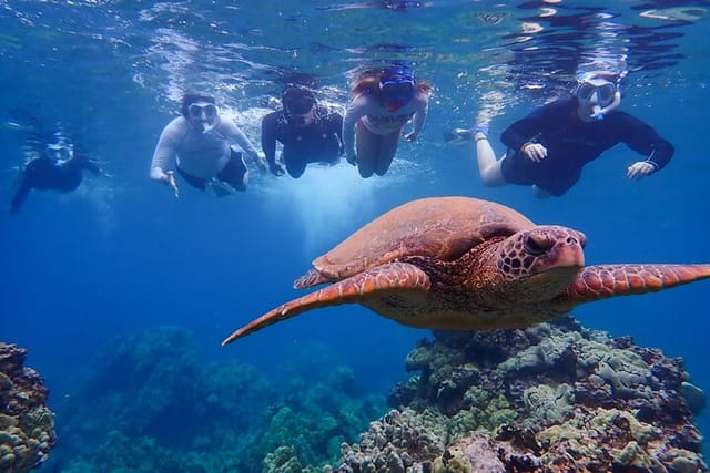 Clear Kayak & Snorkel Tour (7am-10am) - Photo 1 of 25